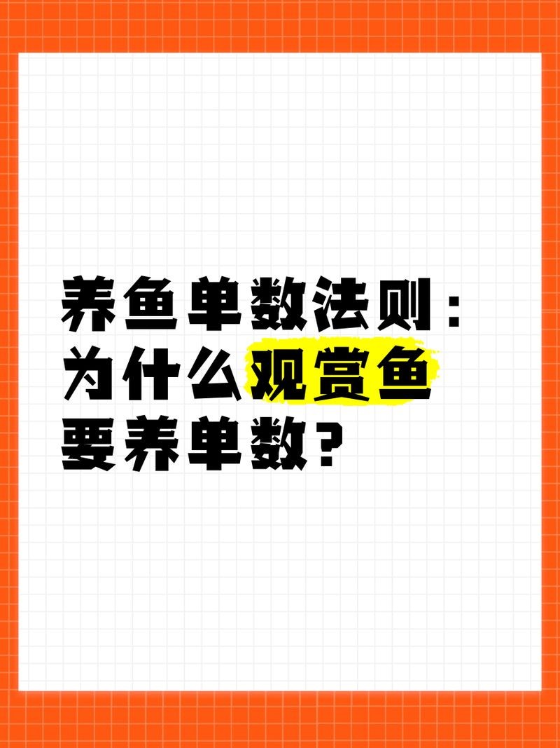 皇冠三間魚養(yǎng)幾條好：皇冠三間魚的最佳混養(yǎng)伙伴有哪些皇冠三間魚的最佳混養(yǎng)伙伴 皇冠三間魚養(yǎng)幾條好：皇冠三間魚的最佳混養(yǎng)伙伴有哪些皇冠三間魚的最佳混養(yǎng)伙伴 龍魚論壇 第1張
