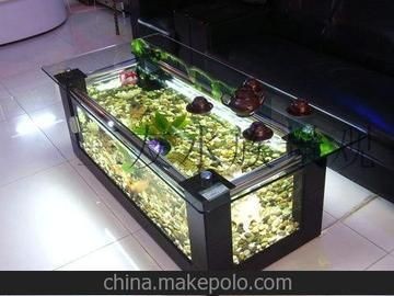 滄州魚(yú)缸批發(fā)市場(chǎng)：滄州水族魚(yú)缸批發(fā)市場(chǎng)