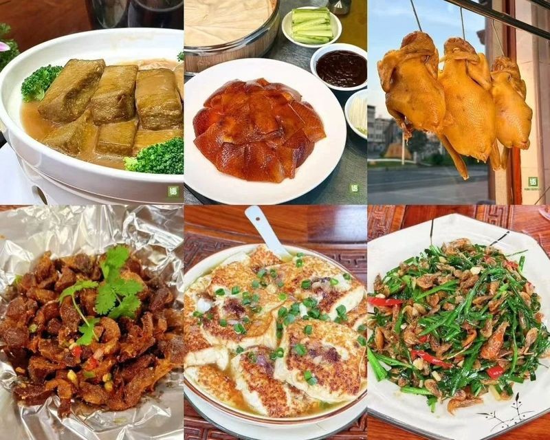 河源龍魚店：廣州河源龍魚店開個龍魚店需要多少錢創業機遇等你抓
