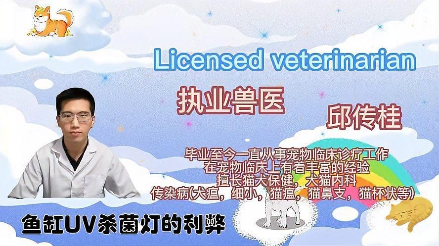 UV殺菌燈對龍魚有影響嗎？：uv殺菌燈對龍魚的影響