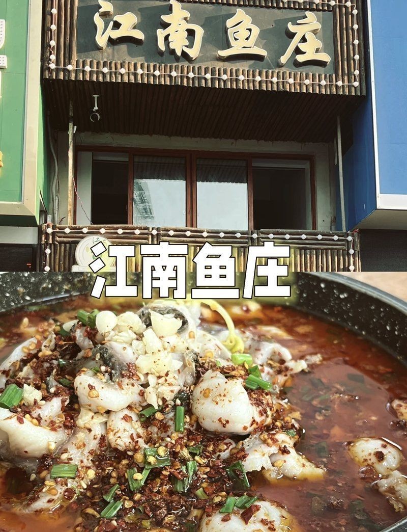 池州龍魚店：**《池州龍魚店：打造專業水族生態美學空間》