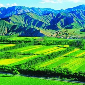 河豚可以用淡水養(yǎng)嗎:河豚能否用淡水養(yǎng)殖? 龍魚論壇 第9張 河豚可以用淡水養(yǎng)嗎:河豚能否用淡水養(yǎng)殖? 河豚可以用淡水養(yǎng)嗎:河豚能否用淡水養(yǎng)殖? 龍魚論壇 第9張