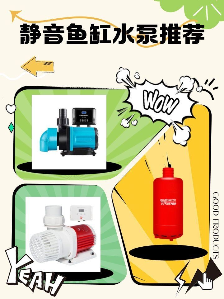 光特億創寧水泵性價比哪個高：光特億水泵vs創寧水泵 光特億創寧水泵性價比哪個高：光特億水泵vs創寧水泵 龍魚論壇 第7張