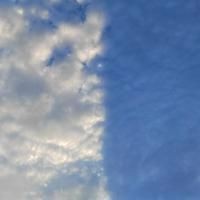 河里的龍王是什么級別：《西游記》中河龍王與海龍王的區(qū)別是什么涇河龍王在仙界的地位如何 河里的龍王是什么級別：《西游記》中河龍王與海龍王的區(qū)別是什么涇河龍王在仙界的地位如何 龍魚論壇 第5張