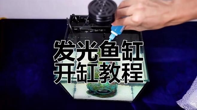 亮彩魚缸最簡單三個(gè)步驟：6招把魚缸養(yǎng)成「空氣缸」空氣缸」