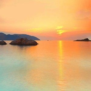 皇冠豹魚為何不能養(yǎng)：斷皇冠豹魚是否健康？