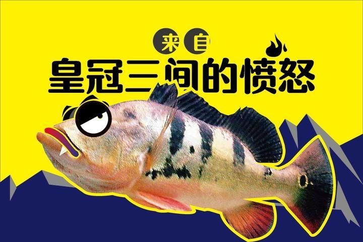 皇冠三間魚風水寓意：皇冠三間魚