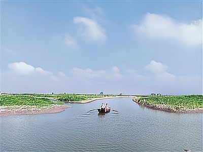 泰州水族批發(fā)市場：泰州水族批發(fā)市場是華東地區(qū)頗具影響力的專業(yè)水族產(chǎn)品集散地