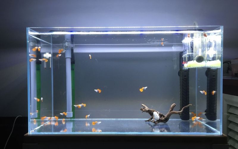 揭陽魚缸定做：揭陽海鮮缸定做