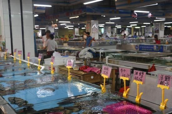 合肥魚缸批發市場：合肥智能魚缸批發市場