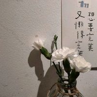 火柴人十二生肖機甲：《火柴人十二生肖機甲》傳統民俗與科幻機甲巧妙結合