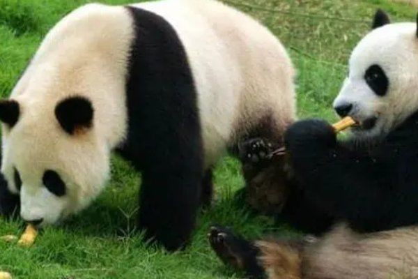 六大國寶第一名：六大稀世頂級國寶