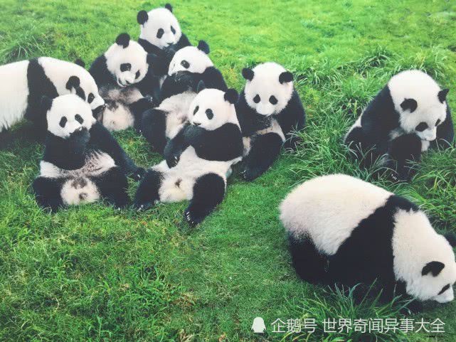 六大國寶第一名：六大稀世頂級國寶