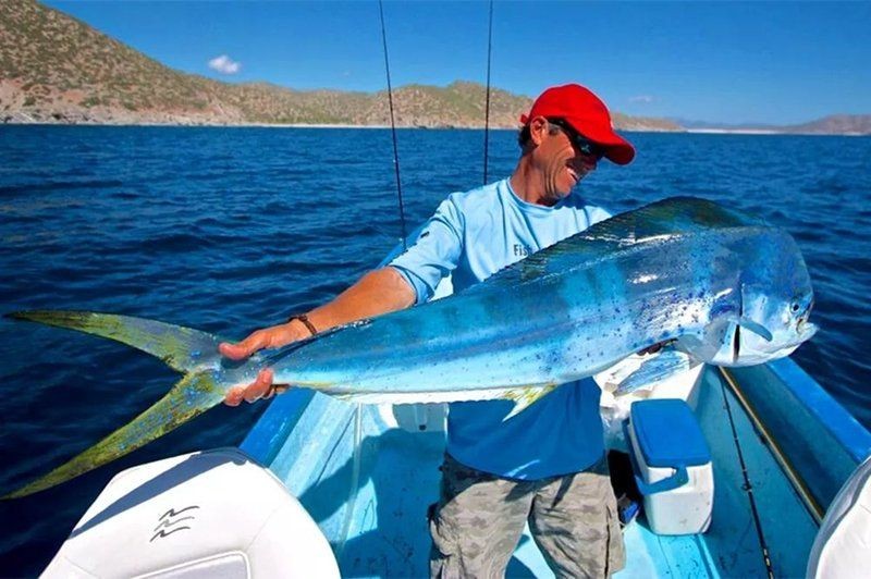 和刀魚很像的是什么魚：刀魚與刀魚有什么區(qū)別
