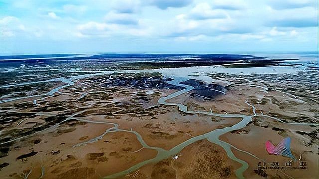 和刀魚很像的是什么魚：刀魚與刀魚有什么區(qū)別