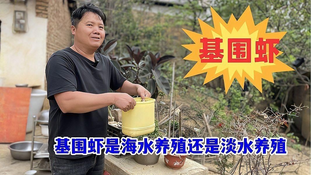 基圍蝦是淡水還是海水養的：基圍蝦并非純粹的淡水或海水生物其養殖環境具有獨特性