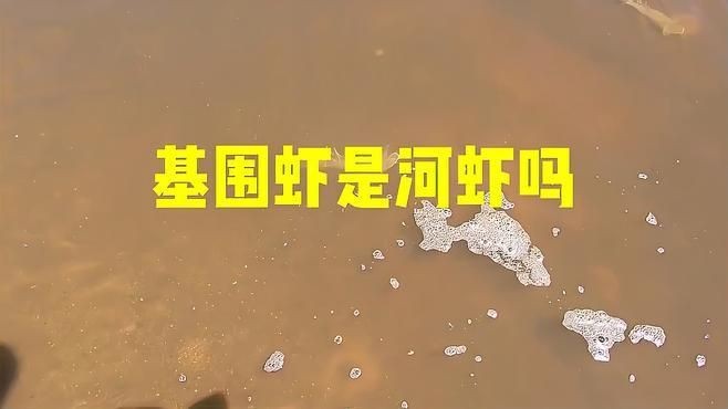 基圍蝦是淡水還是海水養的：基圍蝦并非純粹的淡水或海水生物其養殖環境具有獨特性