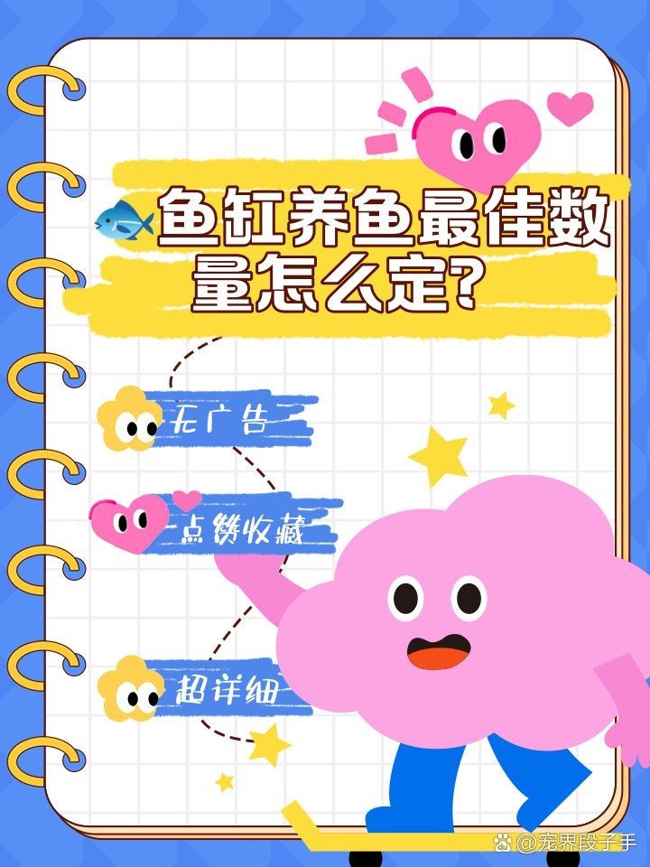 家里魚缸不能超過幾個：如何確定魚缸里養多少條魚比較合適