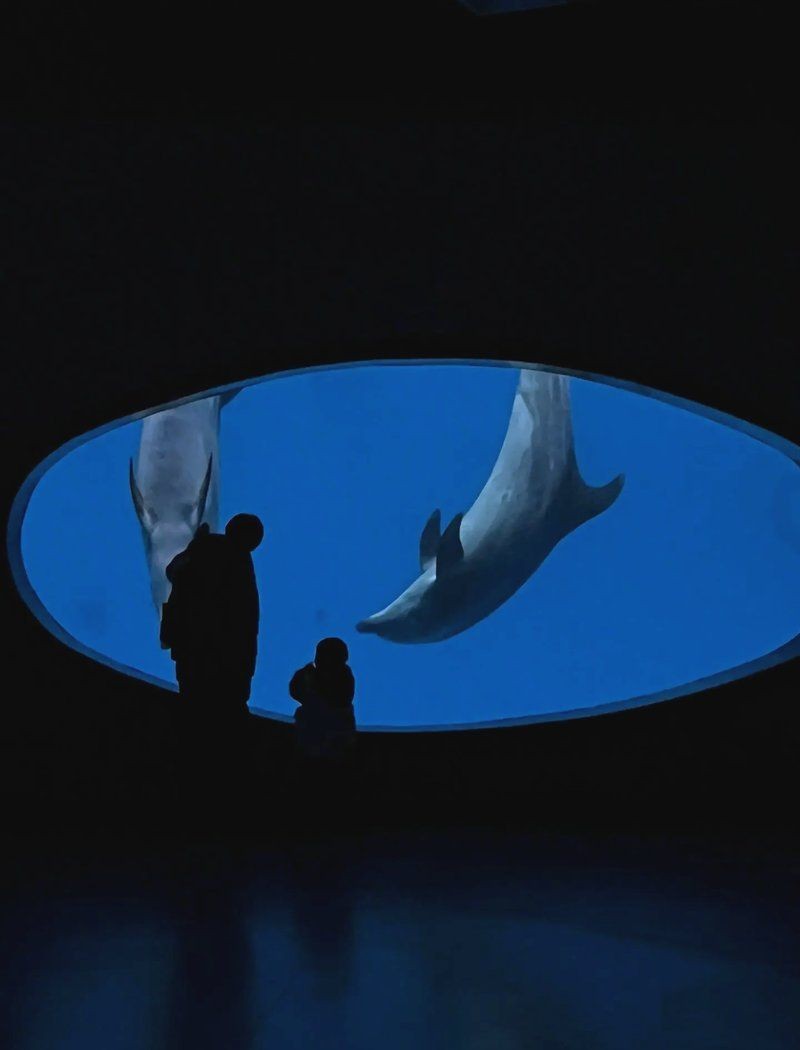 南充水族店：*《南充水族店》*360地圖