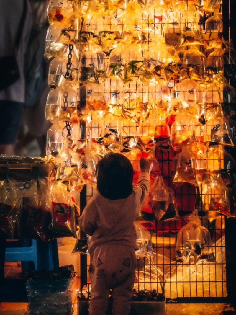 廣州賣金魚的批發(fā)市場(chǎng)在哪里：廣州芳村花鳥魚蟲新世界