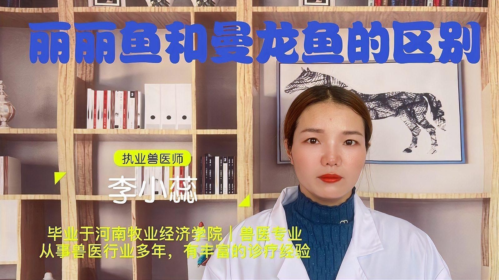 麗麗魚和曼龍魚的區(qū)別：麗麗魚與曼龍魚的區(qū)別有哪些麗麗魚和曼龍魚的區(qū)別