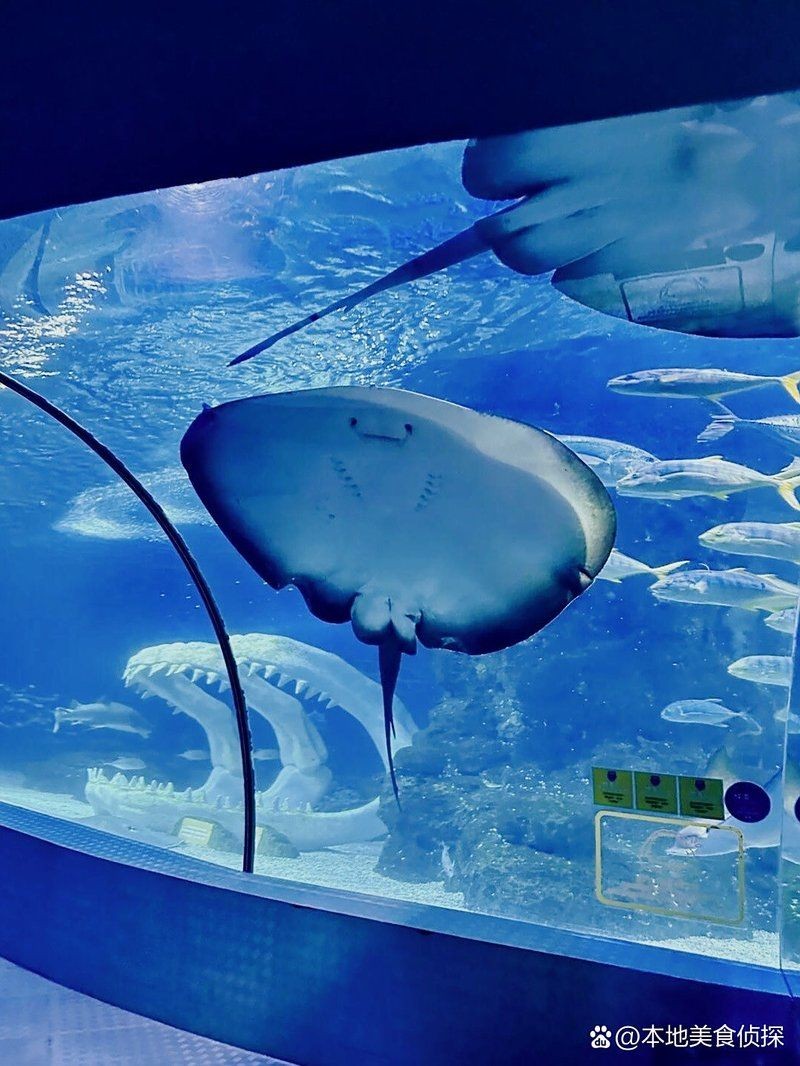 泰州水族館：《泰州水族館》*—泰州水族館