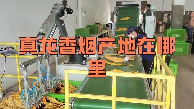 廣西真龍一共有多少種：廣西真龍香煙哪個性價比最高真龍香煙哪個系列最受歡迎
