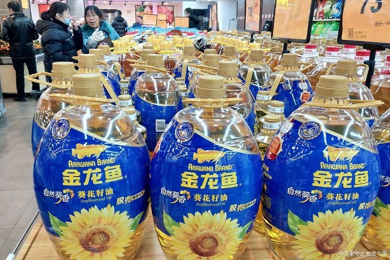上海金龍魚大廈在哪：上海金龍魚大廈位于上海市浦東新區具體坐落于金滬路與金藏路交匯處附近