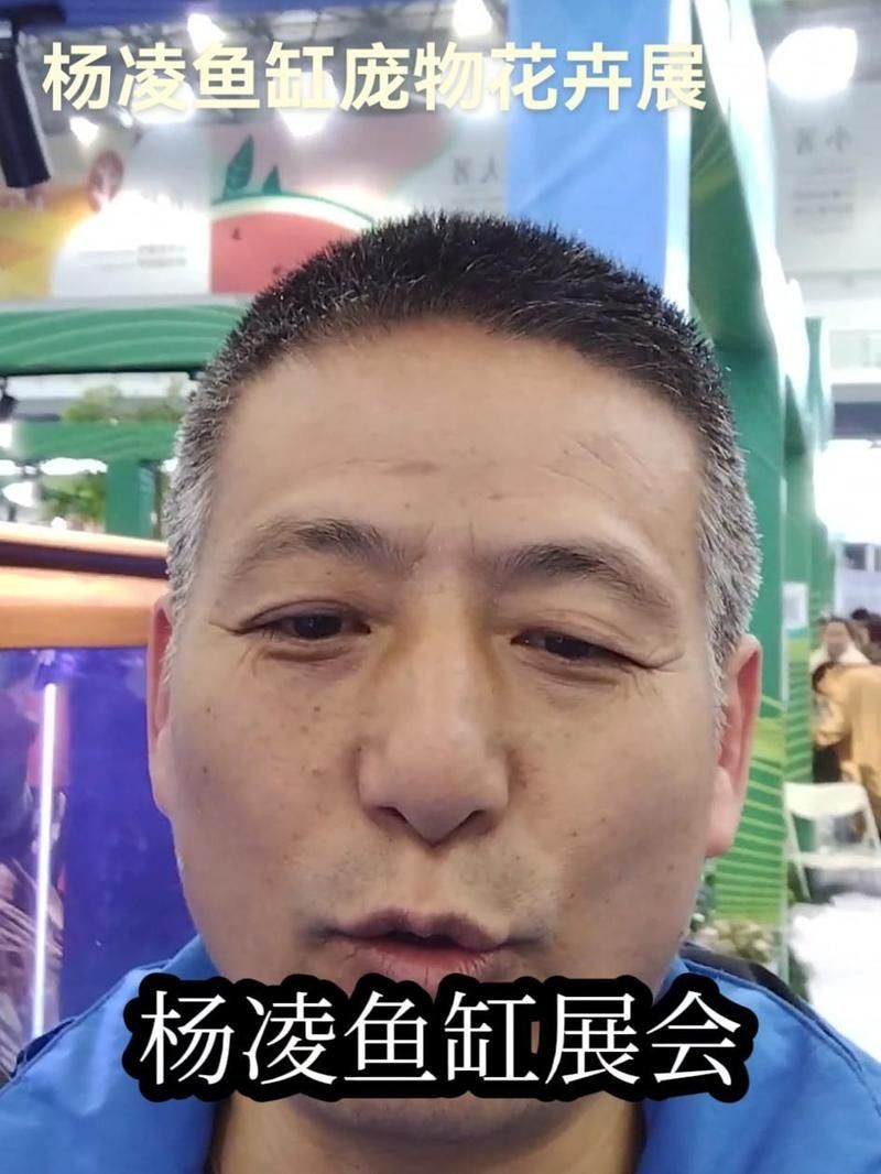 楊凌魚缸批發(fā)市場(chǎng)：楊凌魚缸批發(fā)市場(chǎng)從傳統(tǒng)零售向技術(shù)+服務(wù)模式轉(zhuǎn)型