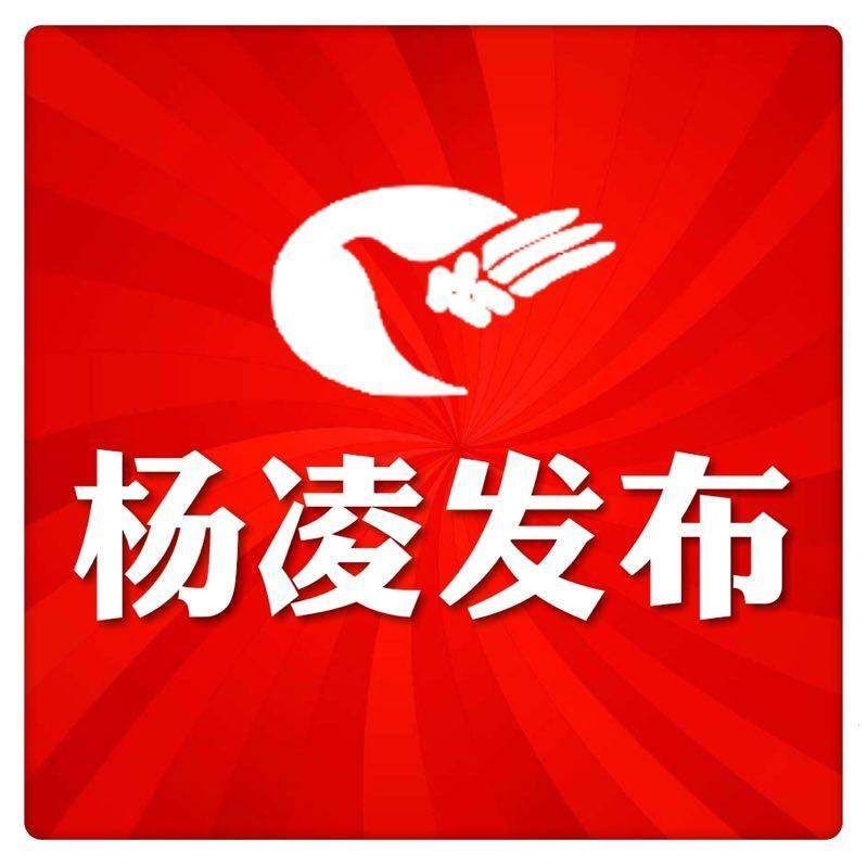楊凌魚缸批發(fā)市場(chǎng)：楊凌魚缸批發(fā)市場(chǎng)從傳統(tǒng)零售向技術(shù)+服務(wù)模式轉(zhuǎn)型