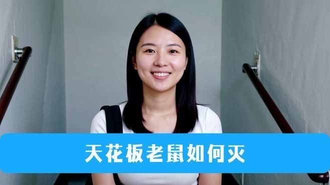 家里吊頂里面有老鼠怎么辦：吊頂上有老鼠怎么辦