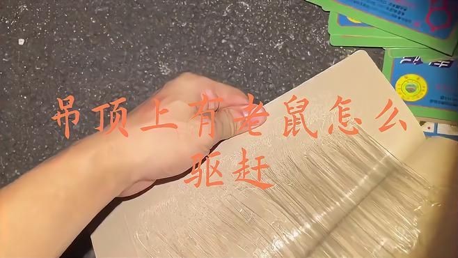 家里吊頂里面有老鼠怎么辦：吊頂上有老鼠怎么辦