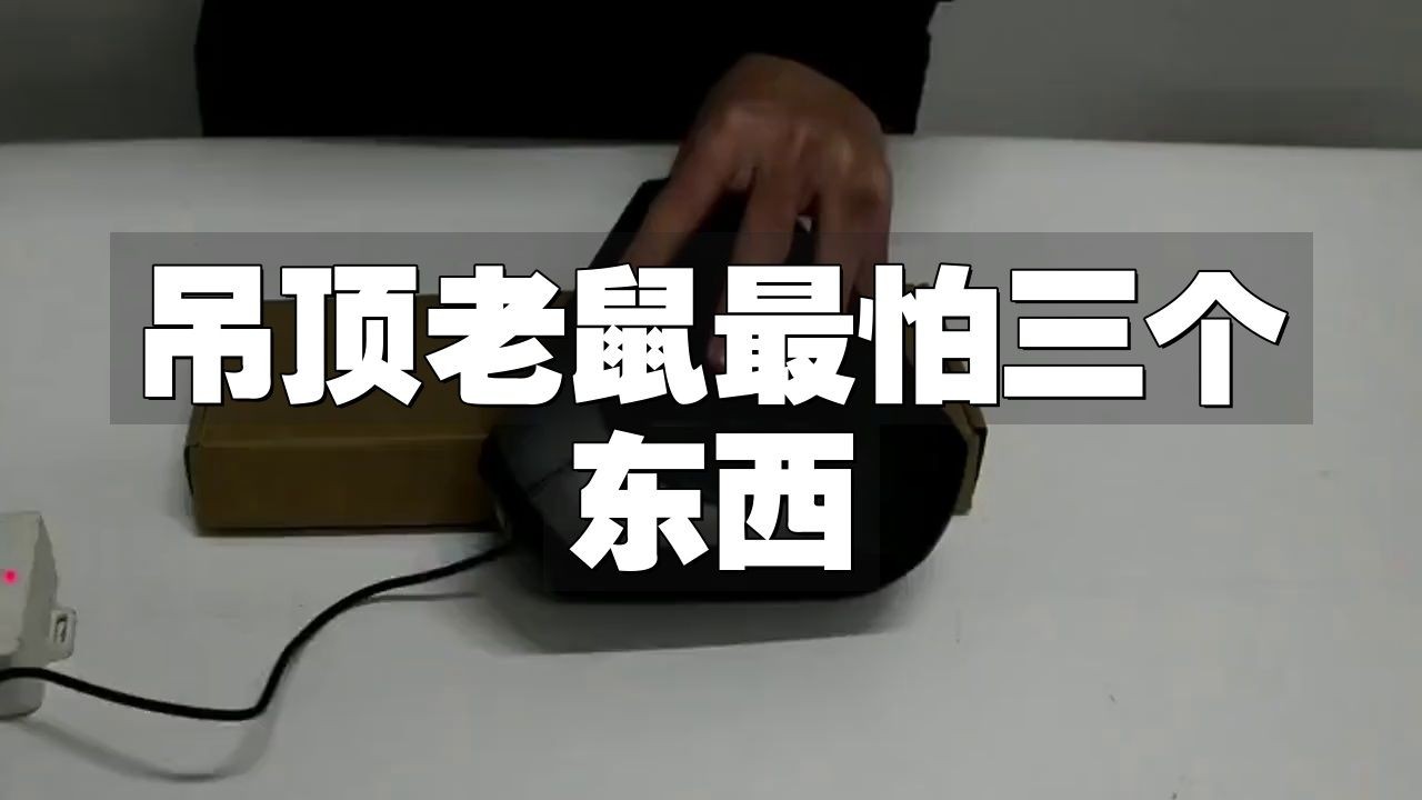 家里吊頂里面有老鼠怎么辦：吊頂上有老鼠怎么辦