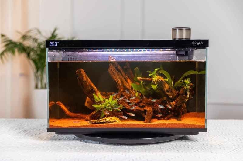 漢霸魚缸是雜牌還是名牌【家用魚缸十大名牌排名】 漢霸魚缸是雜牌還是名牌【家用魚缸十大名牌排名】 龍魚論壇 第9張