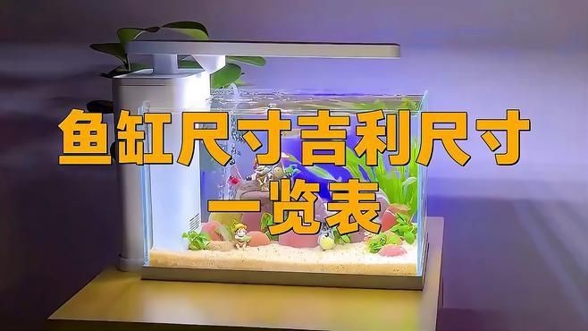 養七條魚需要多大的魚缸？，三川商業說魚缸尺寸吉利尺寸吉利尺寸一覽表碼事隨碼輕