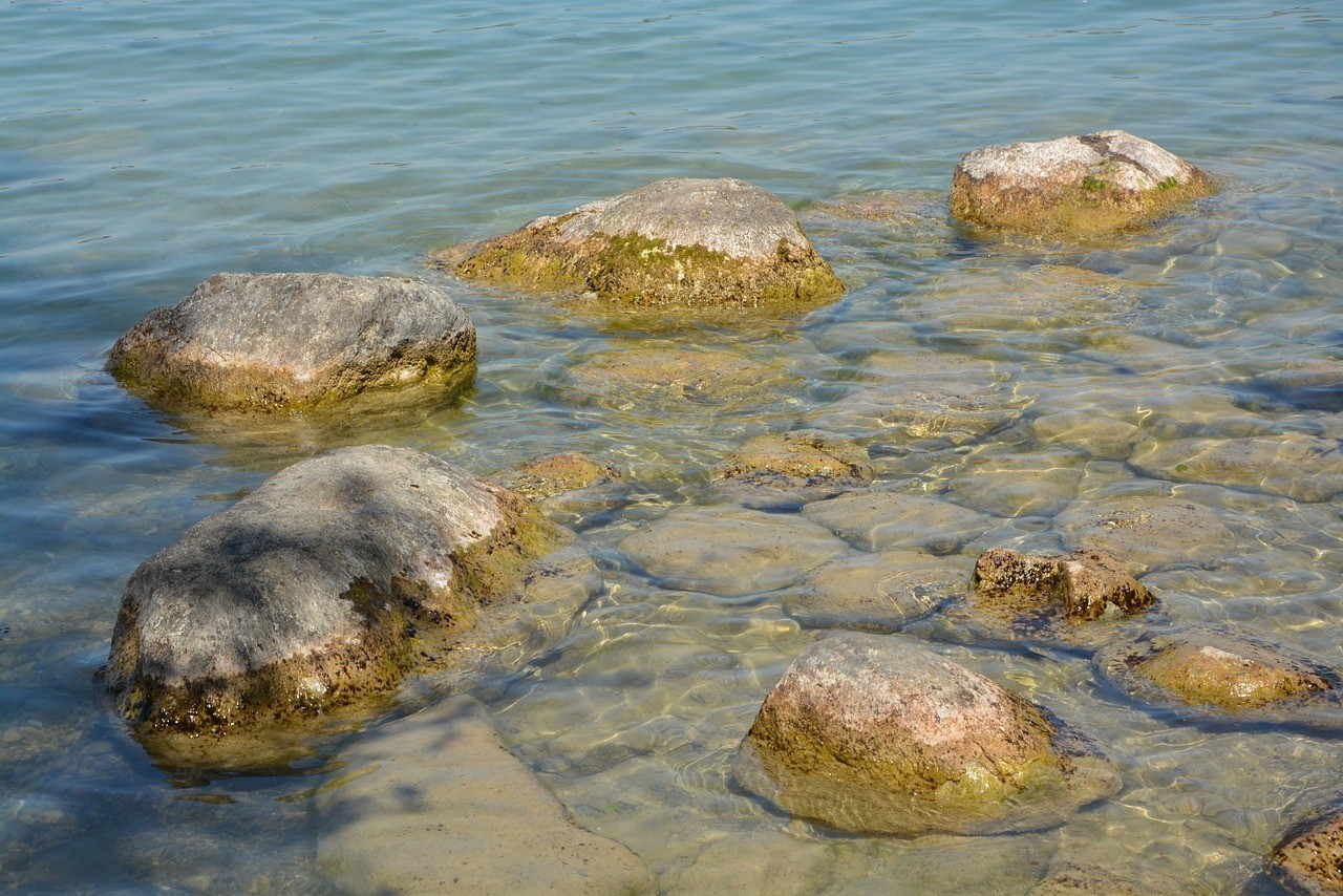 龍魚(yú)用什么魚(yú)缸比較好養(yǎng)殖：龍魚(yú)用什么魚(yú)缸比較好養(yǎng)殖呢，龍魚(yú)最適宜魚(yú)缸的選擇
