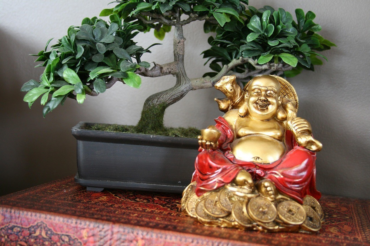 古典龍魚在風水中的寓意，《古典龍魚在風水中的寓意》