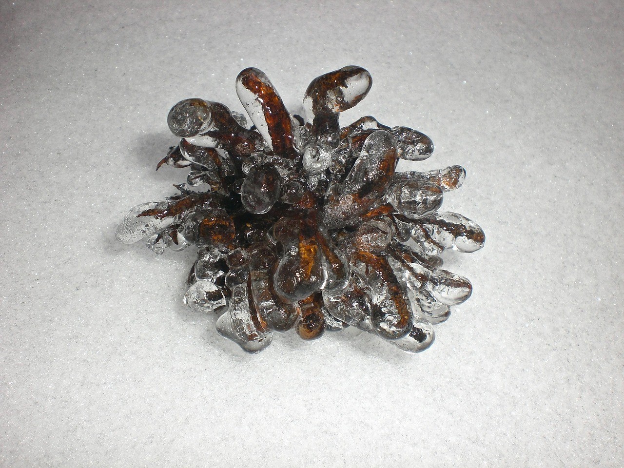 哪種藥物治療龍魚鱗片潰爛最有效？，關于龍魚鱗片潰爛的問題