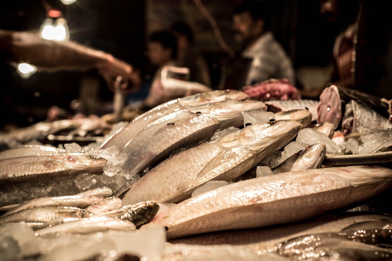 銀龍魚發快遞到了要多久去拿貨呢，銀龍魚快遞發貨時間受多種因素影響銀龍魚的健康因素