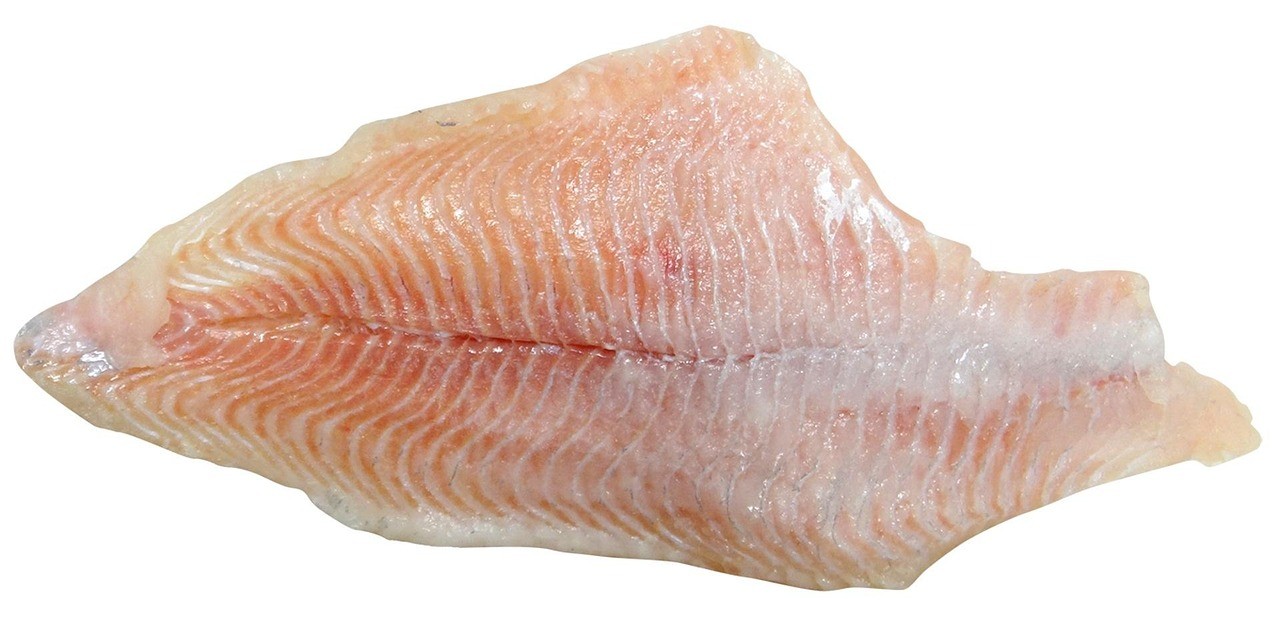 養(yǎng)龍魚需要更換水嗎，養(yǎng)龍魚需要換水嗎
