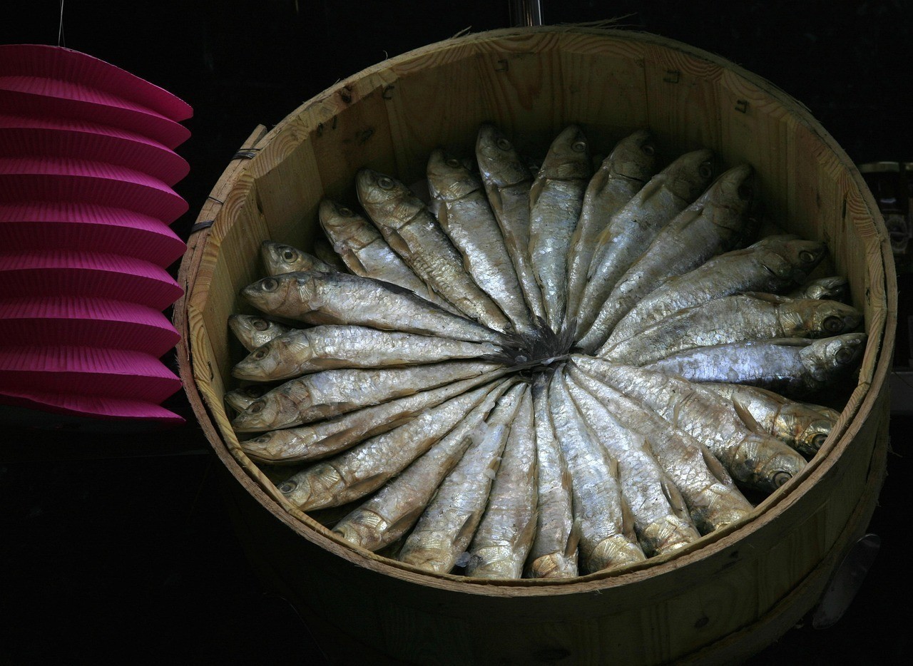 哪種龍魚鱗片疾病最容易惡化？，哪種龍魚鱗片疾病最易惡化？