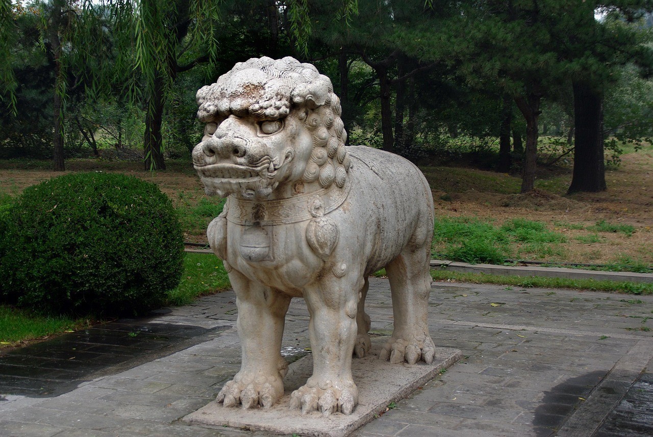 龍魚在愛情中的寓意，《龍魚依然保持優雅游姿的寓意》龍魚在愛情中的寓意