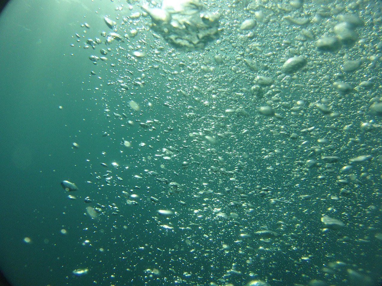 龍魚需要打氧氣嗎，《龍魚需要增長和游動(dòng)嗎》隨著魚體型增長和游動(dòng)頻率加快