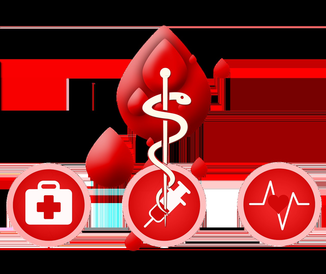 如何判斷過背金龍是否健康，如何判斷過背金龍的健康狀況