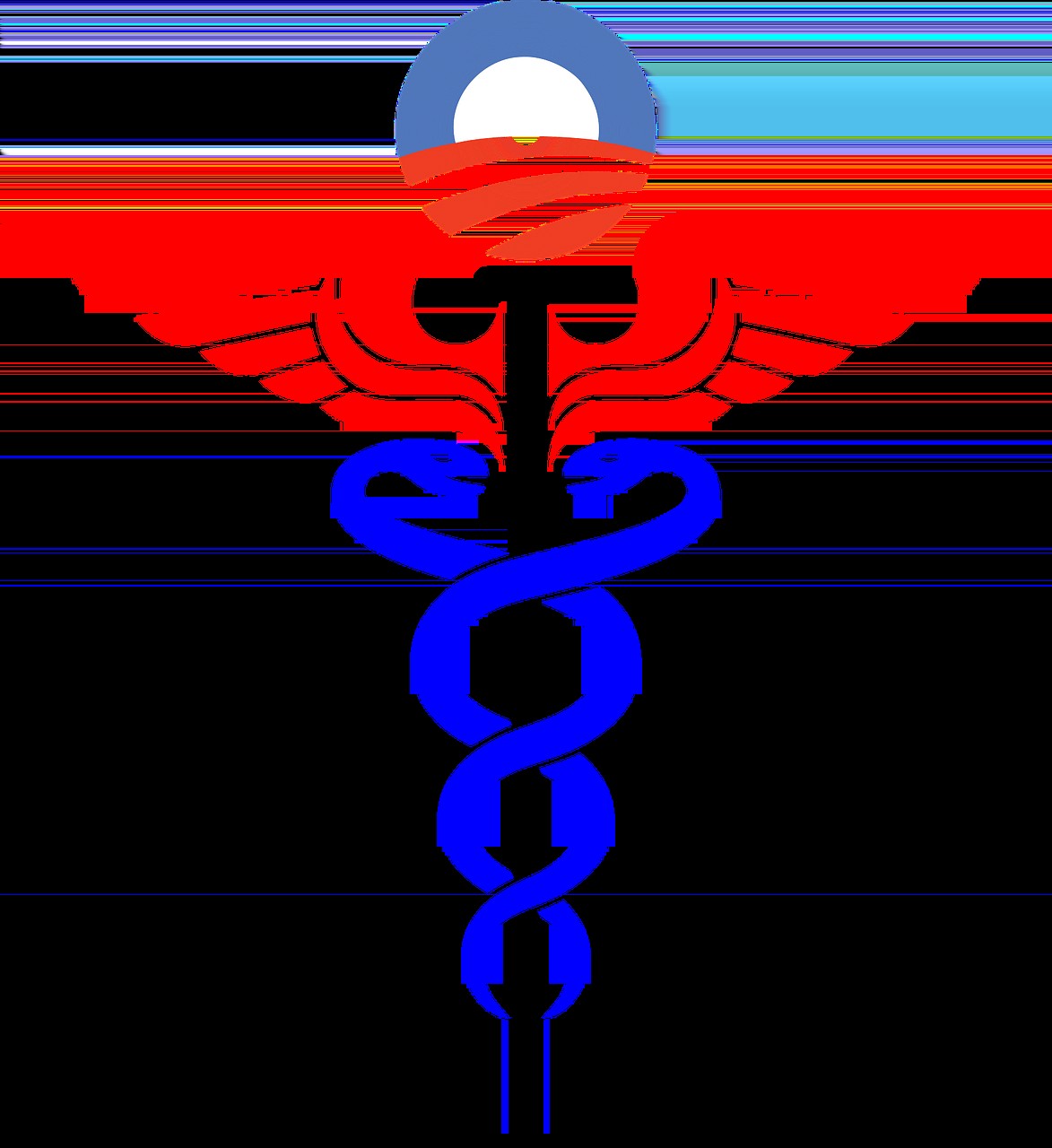 如何判斷過背金龍是否健康，如何判斷過背金龍的健康狀況