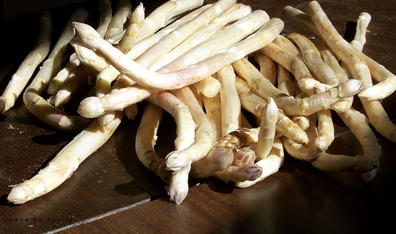 龍魚(yú)為什么不能吃，《龍魚(yú)為什么不能吃》