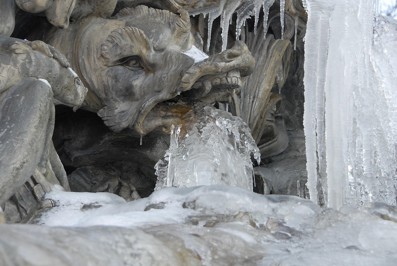 龍魚埋葬的最佳位置圖，龍魚埋葬的最佳位置