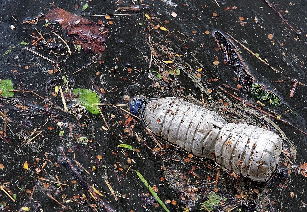 龍魚爛尾可以連續放土霉素嗎，土霉素治療龍魚