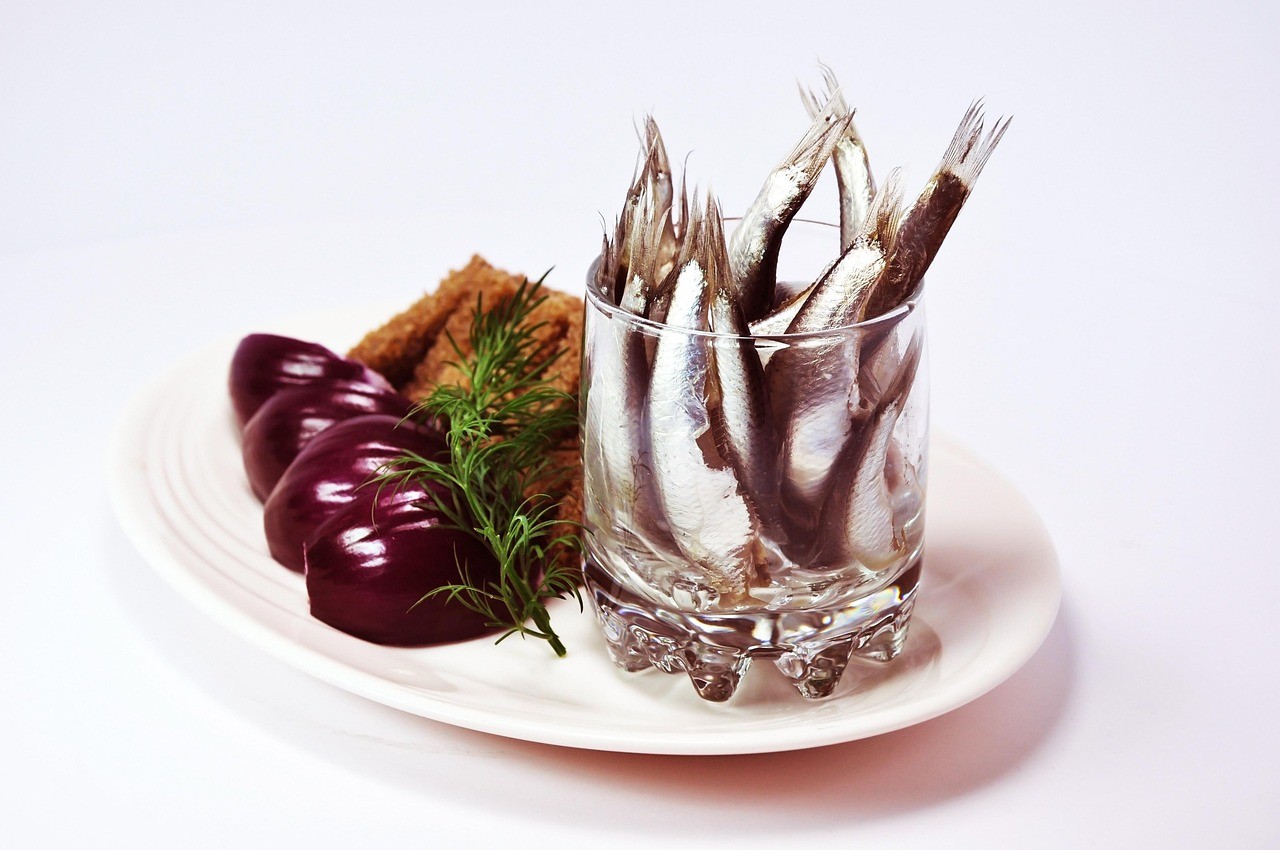 雷龍魚最簡單三個食物，《雷龍魚最簡單三個食物》24小時內不基礎飼喂要點
