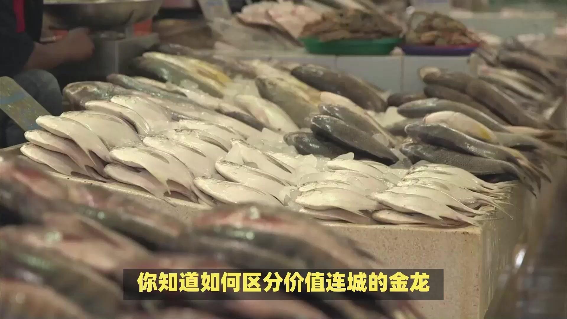 金龍魚和銀龍魚的價格差異大嗎？，關于金龍魚和銀龍魚價格差異的300-400字